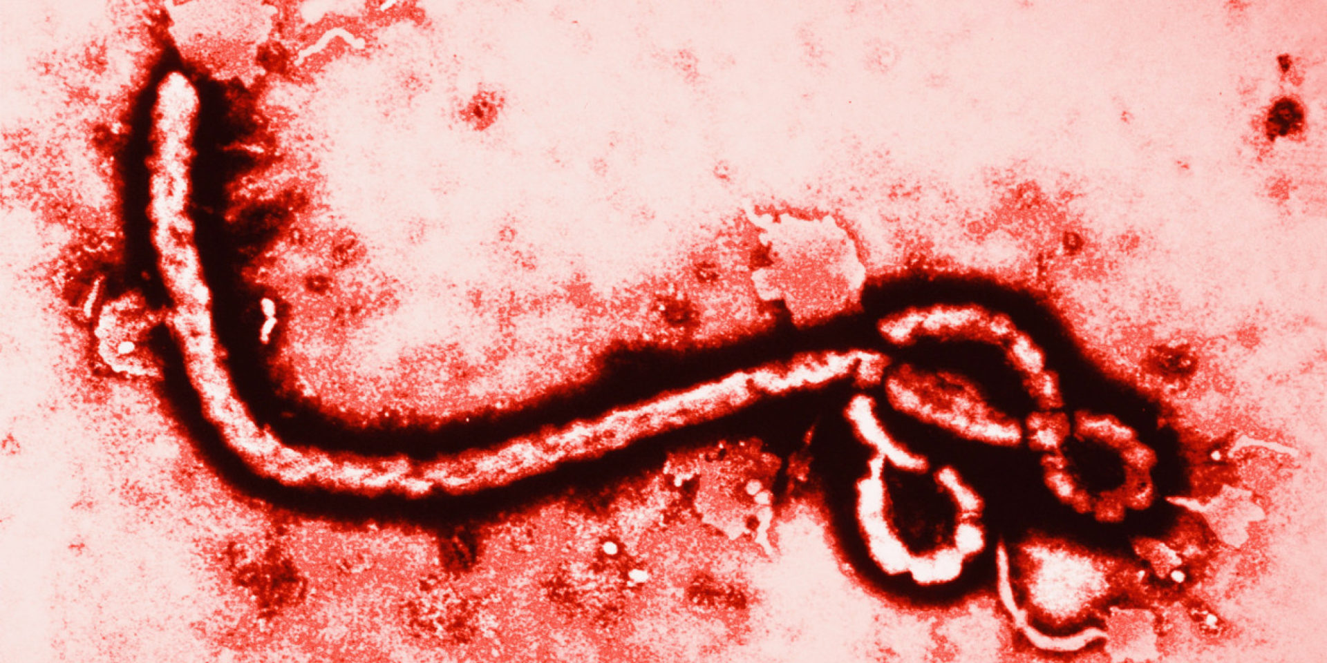 New Yorkers Least Concerned About Ebola