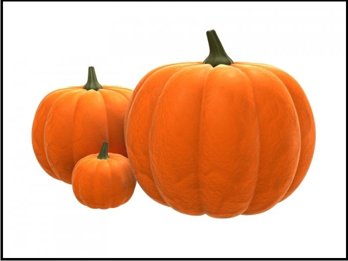 Pumpkin – An Overlooked Source of Essential Vitamins and Minerals