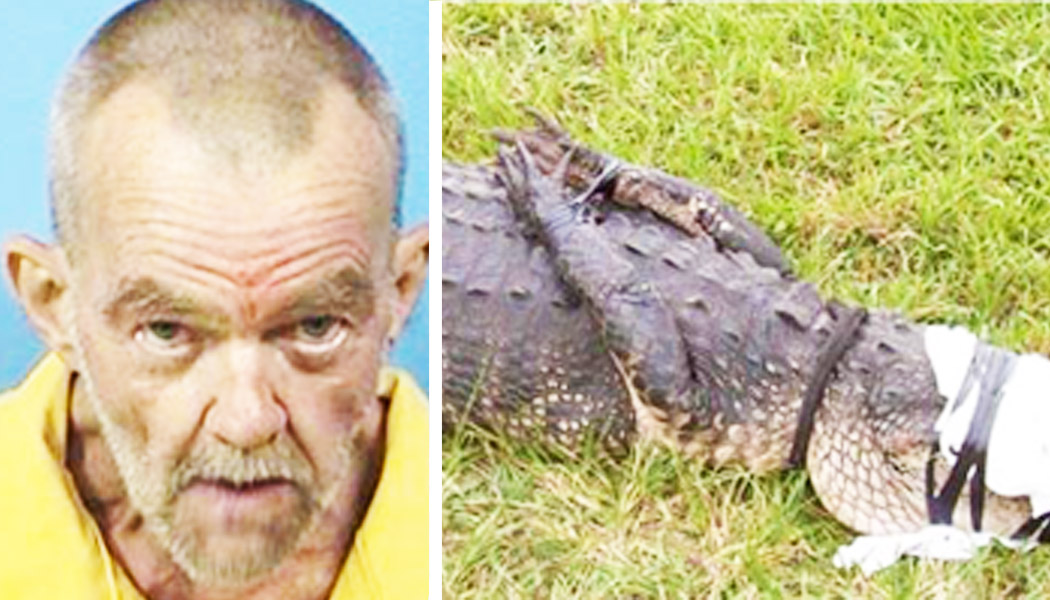 59-year-old Man Arrested for Having Sex With an Alligator