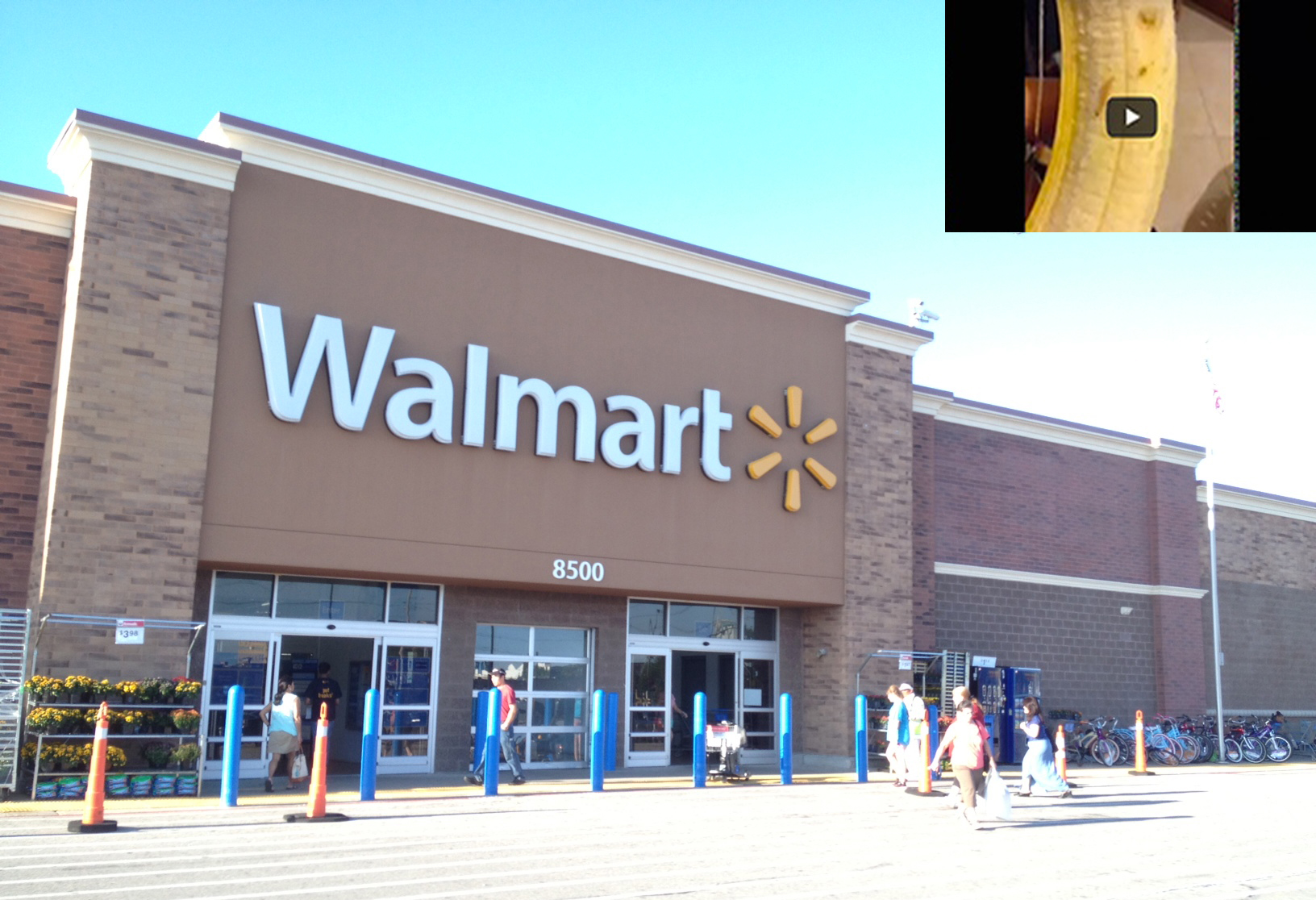 Wal-Mart Imported 6 tons of Parasite Infected Bananas