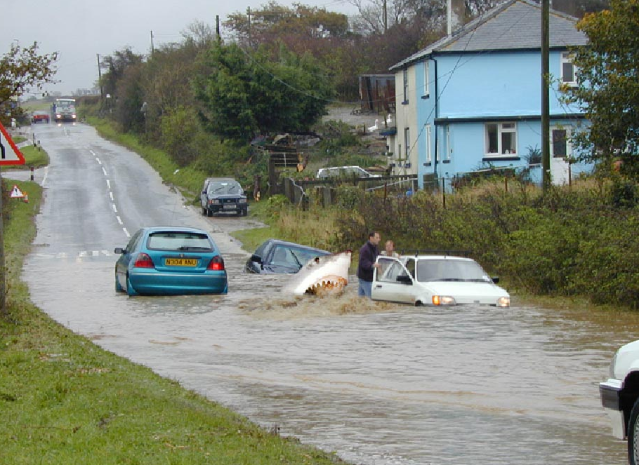 A Photograph is Showing a White Shark Attacking Two People in Flooded Water