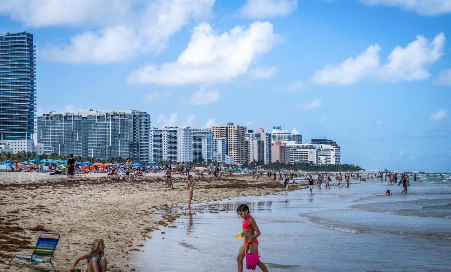 The Florida Beaches are Under-Attack by Sea-Lice