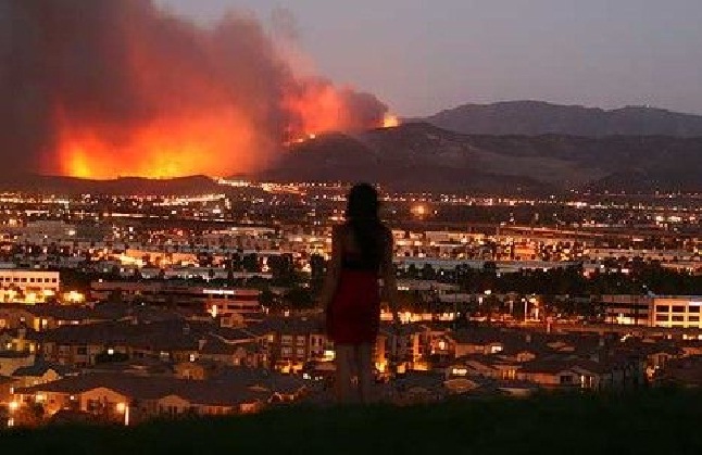 Blue Cut Fire in Southern California burned a large amount of Forest