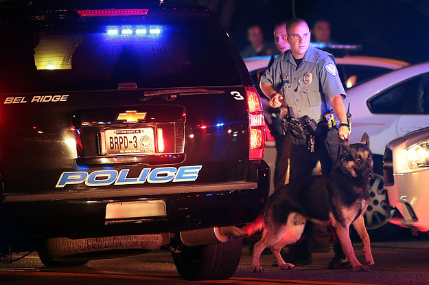Did the U.S Federal Government authorize Police to kill dogs?