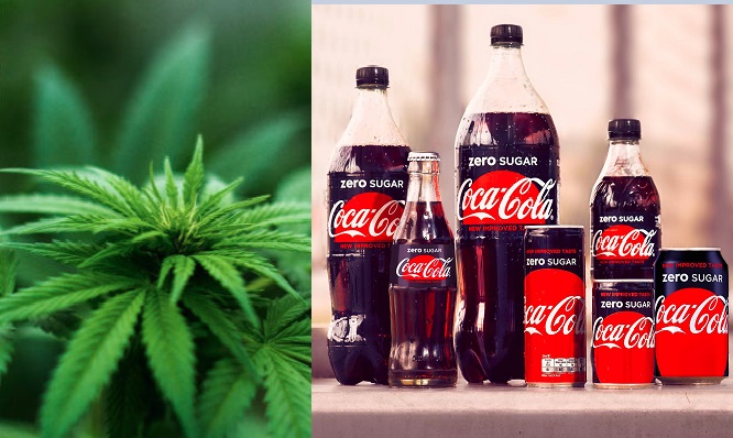 Coca-Cola eyes cannabis market