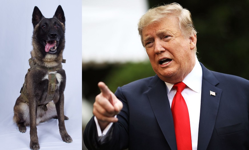 Trump shared a picture of Wonderful Dog participated in Killing of Al-Baghdadi