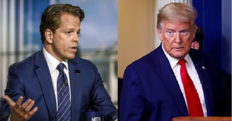 Trump is looking to Wall Off America from Rest of the World: Scaramucci