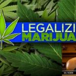 Legalizing Marijuana in South Dakota and ruling of Judge Christina Klinger