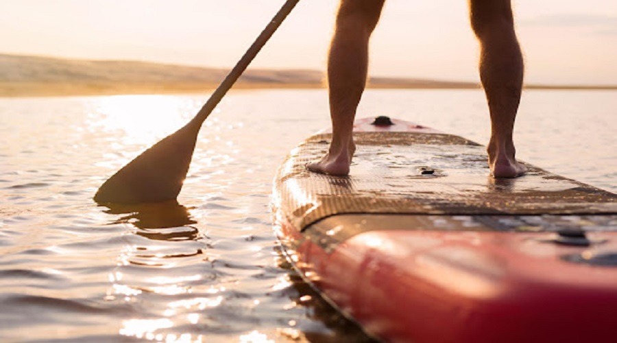 5 Most Useful Paddle Boards to Purchase in 2022