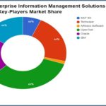 New Enterprise Information Management Solutions Research Report offers Key Details