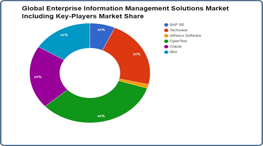 New Enterprise Information Management Solutions Research Report offers Key Details