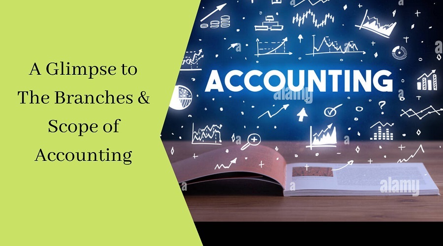 A Glimpse to The Branches & Scope of Accounting