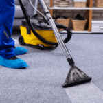 Professional Carpet Cleaning Service