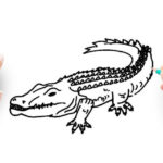 Draw a Cartoon Crocodile