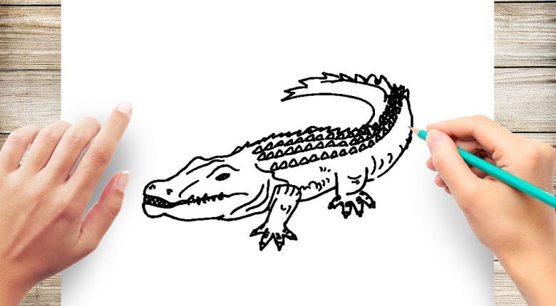 How to Draw a Cartoon Crocodile a Step-by-Step Manual