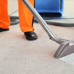 Why do We Need Carpet Cleaning Services