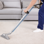 Some of the Top Benefits of Professional Carpet Cleaning Services