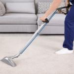 Professional Carpet Cleaner